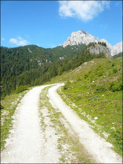 Der Weg erscheint uns steinig und schwer. Der Weg erscheint uns steinig und schwer.