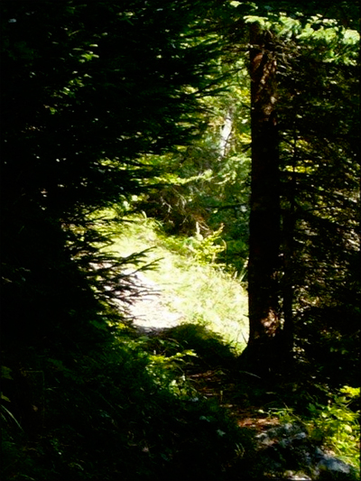 Und doch gibt es immer wieder Licht am Ende eines beschwerlichen Weges! Und doch gibt es immer wieder Licht am Ende eines beschwerlichen Weges!